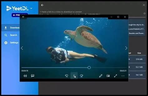 Download YeetDL Premium 1.2.126