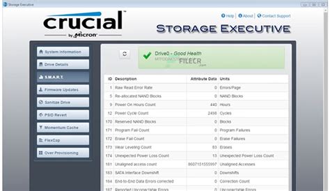 Crucial Storage Executive 9.09.092023.03