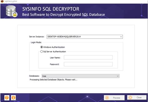 SysInfoTools SQL Decryptor 19.0