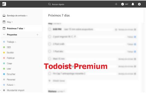 Todoist Premium 2025 Free Software
